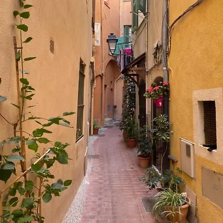 Renovated In The Heart Of The Old Town Апартаменты Ментона